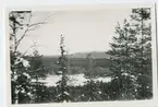Fjällutsikt från skogsklädd höjd med närliggande sjö.