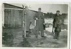 Beredskapen 1939-1945.