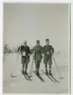 Fjällen 1920-tal.
