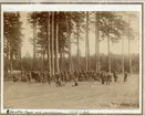 Sjövalla hage vid Malmen.1860-tal.