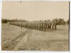 9.komp. I 4 Rep.övning1911.
Militärer uppställda på långa led.