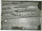 Lägret Malmen 1921.Del av en bataljon med...(se bild 2)