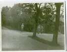 Malmen omkr 1920. De Geer,Mörner,Grapengiesser studerar flyget.