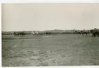 Malmen tidigt 1920-tal.Parad.