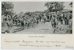 (Brevkort)Helsning från Malmslätt.
Mobiliseringsövningen 1900.