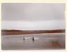 Malmen översvämmad (I fonden 