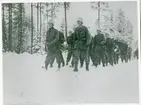 Vid Svensk Norskagränsen 16-11-42--14-2-1943.
