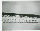 Frivilligkåren 1940. Finska gränsen.