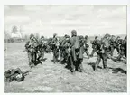 Plutonsfälttävlan 1977. Okänd pluton.