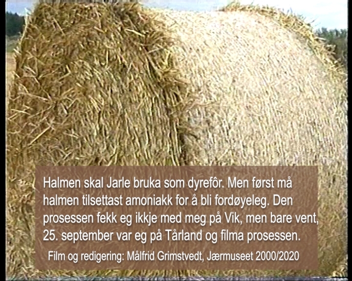 Redigerte versjonar av opptak frå samtidsprosjektet PR2000.01 Vik2000