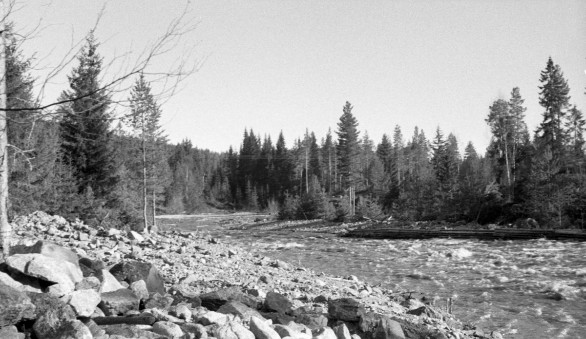 «Fullt damvann» nedover mot Sukkerhullet i elva Tannåa i Nord-Odal, Hedmark. Dette fotografiet ble tatt i 1956, året etter at Glomma fellesfløtingsforening hadde leide bulldoser for å kunne utføre «elveforbedringsarbeider». Anleggsmaskinen ble særlig brukt til å skyfle steinører i elveløpet inn på elvebredden slik at man fikk åpnere passasjer for fløtingstømmeret.  Vi ser en del slik stein til venstre i forgrunnen. Til høyre, på motsatt side av vassdraget, ser vi en tømmerskådam som bulldoseren hadde latt stå urørt. Den skulle fungere som en skjerm for fløtingstømmeret og hindre at stokkene drev inn på elvebredden når vannføringa var høy. Konklusjonen etter befaringa da dette fotografiet ble tatt skal ha blitt at det var nødvendig med «justering» av bulldozerarbeidet.