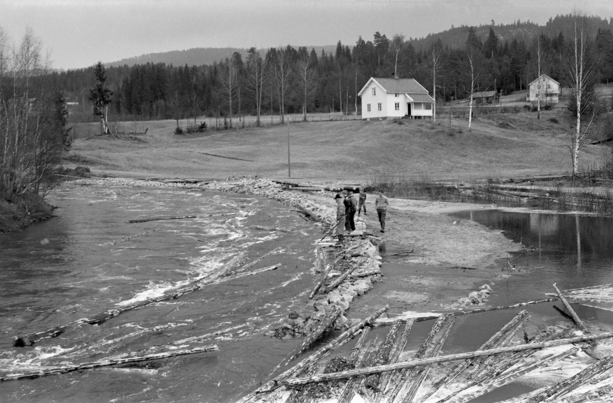 Tannåa, Nord-Odal, Hedmark etter omlegging og steinsetting. Tømmer i elva. Fem personer ved Bergstuen Bru.