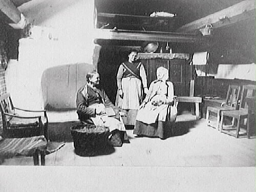 Interiör av ryggåsstugan i Oktorpsgården, Slöinge socken, som flyttades i sin helhet till Skansen år 1896. I mitten står dottern på gården, Johanna Lundqvist, även kallad Hanna. Ljuset faller in från stugans enda fönster vilket sitter i takfallet.

Text på baksidan: "Interiör av ryggåsstuga i Halland. Severin Nilson. Nr 22 Sturegatan, Stockholm." Nilson hade sin ateljé på Sturegatan och kanske är detta ett bidrag till någon fotoutställning han deltog i, eller en bild han sänt till Artur Hazelius i samarbetet kring hallandsinteriörer?