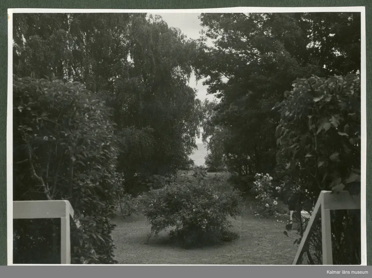 Trädgården och baksidan av Waldemar Swahns sommarbostad på Stångudden, Ekenäs.