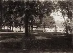 Linnéparken i Växjö med Carl von Linnés byst, 15/9 1921. I bakgrunden syns några av husen i kvarteret Kristina längs Norra Järnvägsgatan.