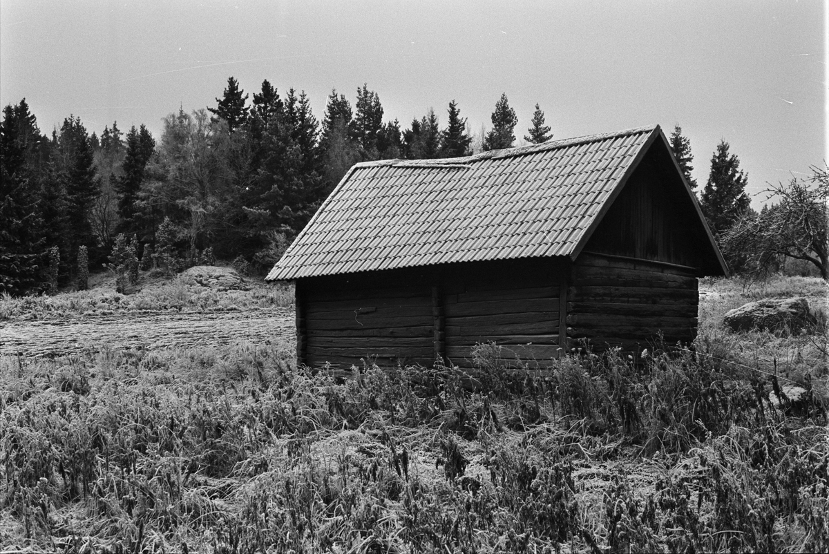 Fähus, Näs-Focksta 7:3, Tallbacken, Uppsala-Näs socken, Uppland 1984