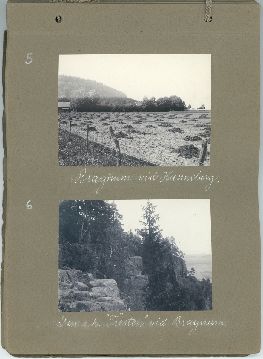 Fotoalbum. "Fröken Anna Ledin, en erinran om sommaren 1911. Vänskapsfullt av E.A."  Gåva till Anna Ledin från Emil Almqvist.