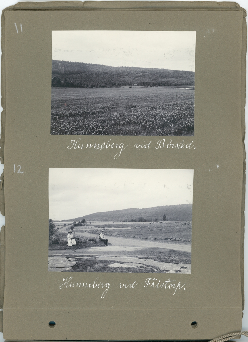 Fotoalbum. "Fröken Anna Ledin, en erinran om sommaren 1911. Vänskapsfullt av E.A."  Gåva till Anna Ledin från Emil Almqvist.
