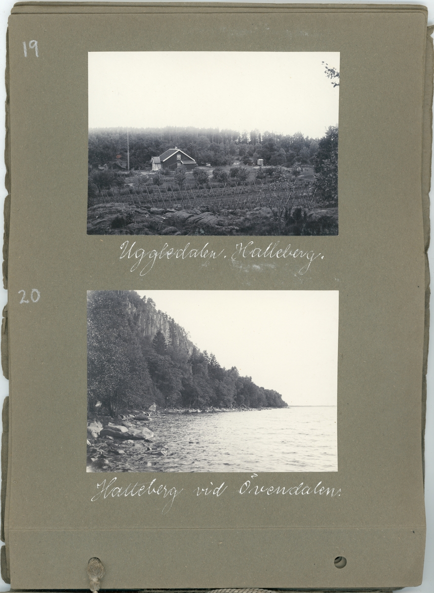Fotoalbum. "Fröken Anna Ledin, en erinran om sommaren 1911. Vänskapsfullt av E.A."  Gåva till Anna Ledin från Emil Almqvist.