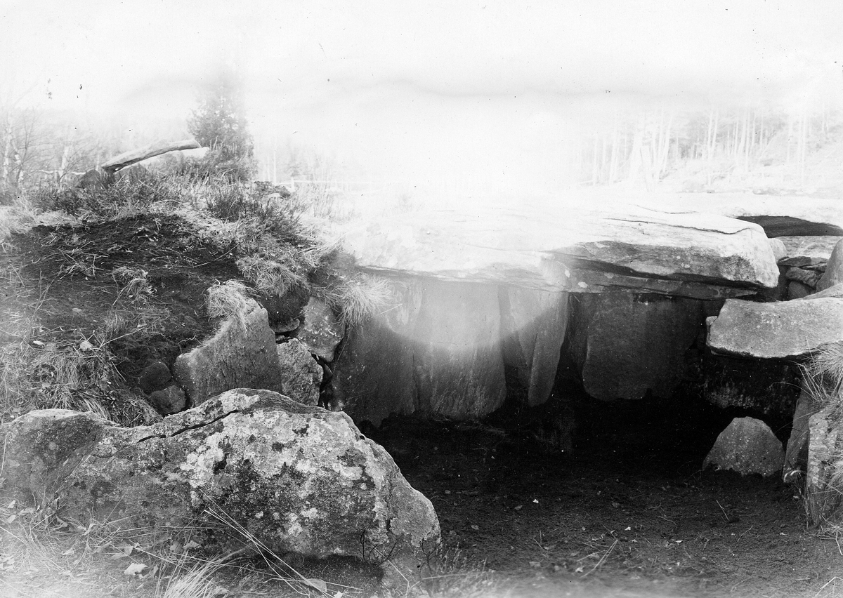 Snöstorps sn, Tolarp.
Foto 1, Gånggriften i Snöstorps sn, Tolarp med två avbalkningar för sittande lik.
Foto 2-8, Gånggriften i Tolarp under utgrävning.
Foto 9, Bärnstenspärlor från Kommunen gånggriften i Tolarp.