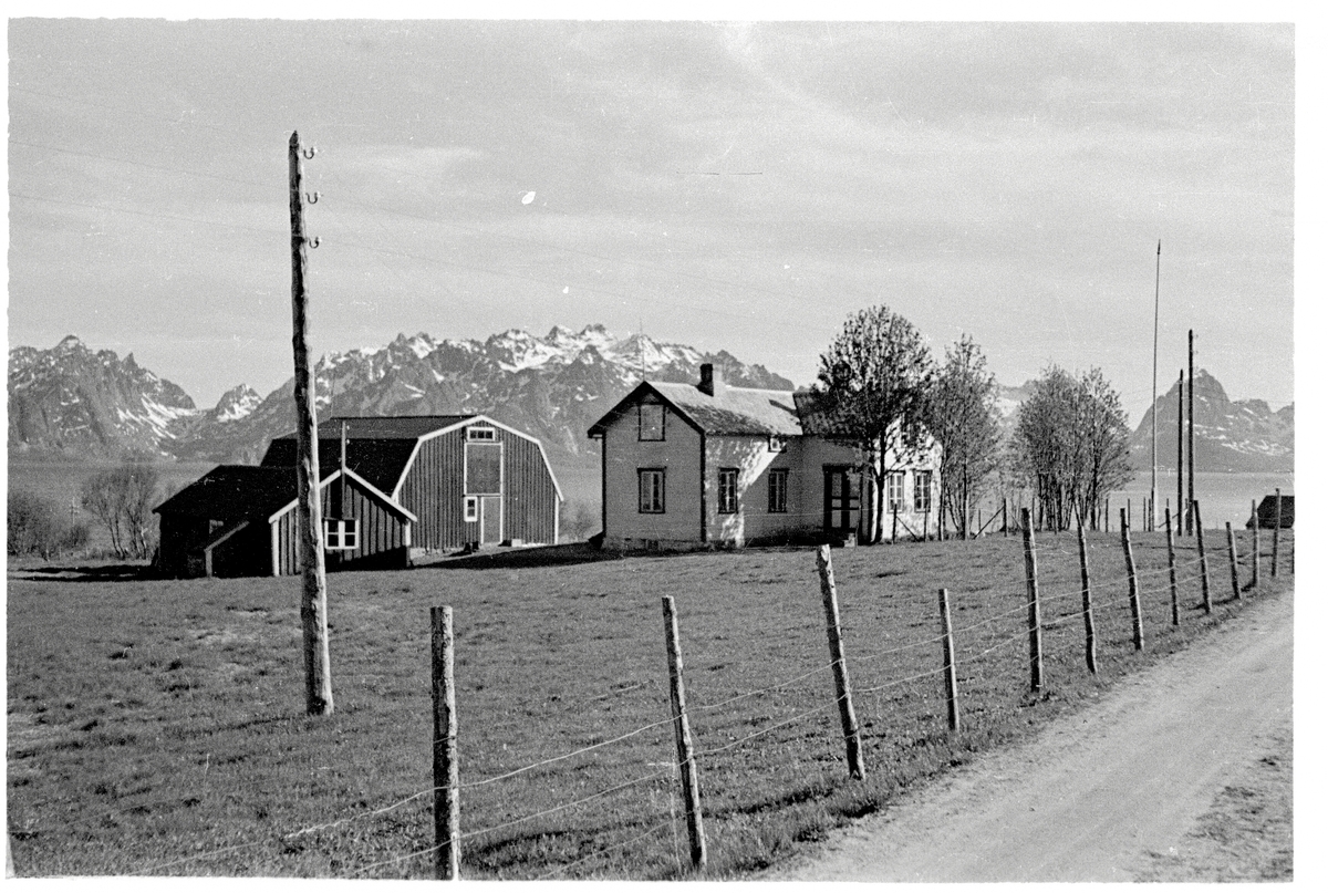 Bebyggelse på Lekang i Hadsel. Austvågøya i bakgrunnen.