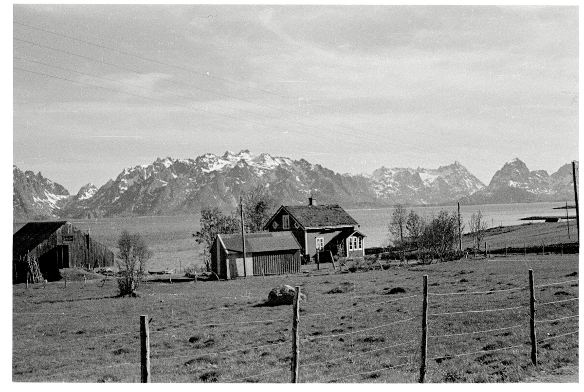 Bebyggelse på sørøstsiden av Hadseløya. -Sør-Troms Museum / DigitaltMuseum
