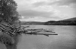 Van Severen & Co, Partier fra Namdalen