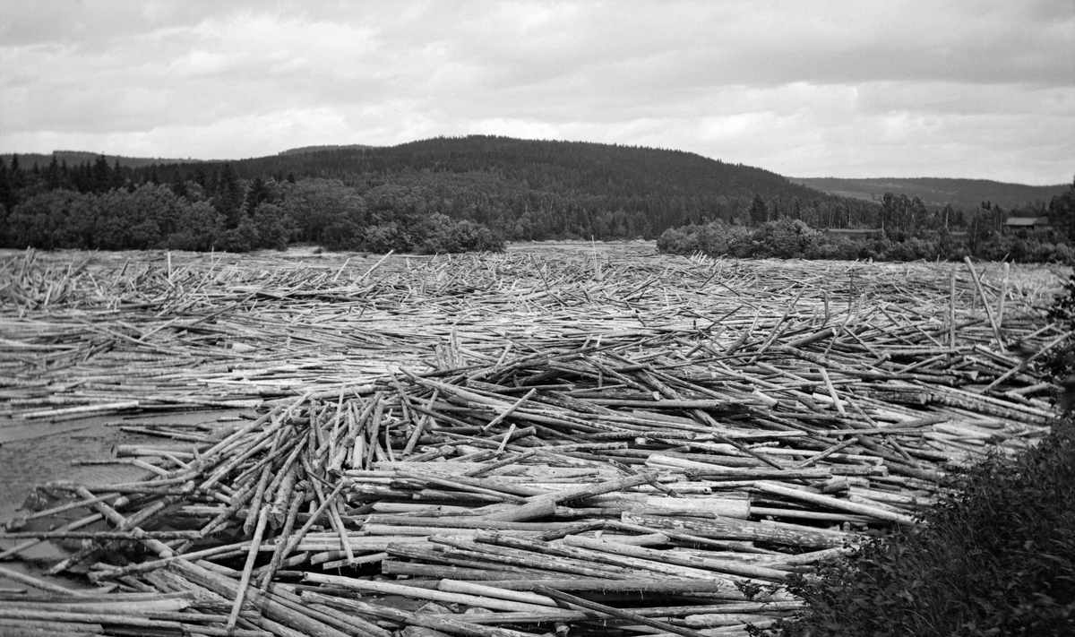 Opphoping av tømmer i Fulufjorden i Glomma tidlig på 1900-tallet.  Fulufjorden er en «utposning» på Glomma, cirka 6 kilometer vest for Kongsvinger, der elva dreier nordvestover.  I denne delen av elva var det en del bakevjer, viker og holmer hvor fløtingsvirket hadde lett for å hope seg opp, spesielt når det blåste fra sør eller vest.  Slike forhold  - og mye tømmer - var det åpenbart i vassdraget før dette fotografiet ble tatt.  Øvre Glommens Fællesfløtningsforening fikk anlagt ei beholdningslense i Fulufjorden i 1897, og denne lensa er nevnt i en lokaliserende tekst til dette bildet (jfr. fanen «Tittel»).  Lensekonstruksjonene later imidlertid til å være skjult bak (eller under) alt tømmeret som lå i dette elvepartiet på opptakstidspunktet.