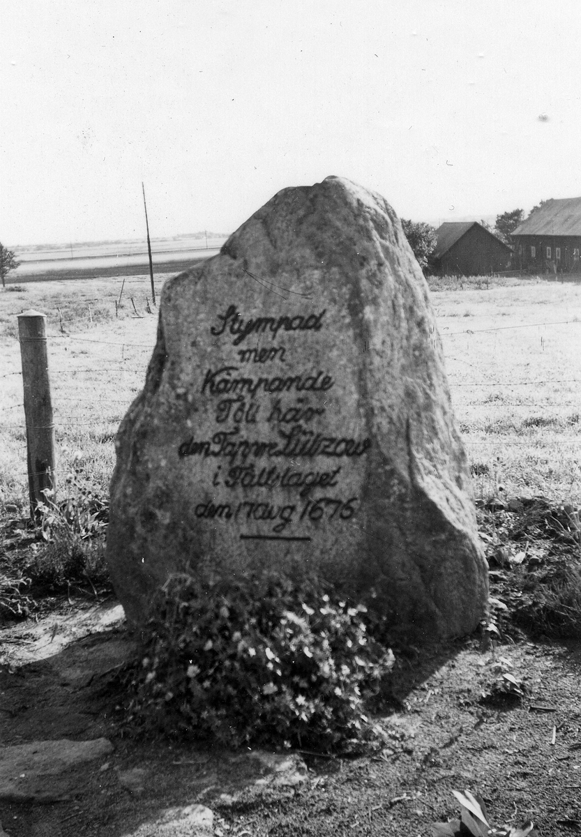 Snöstorps sn. Lützowska stenen vid Kistinge. (Danskstenen).