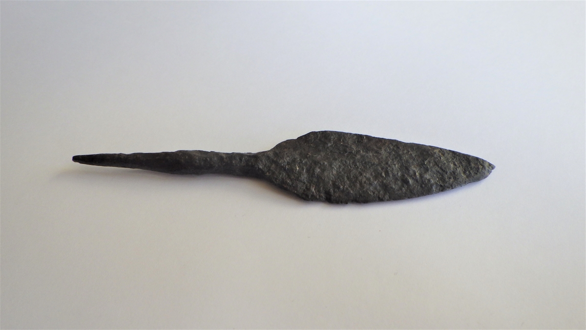 MALV: L. 100 B. 21 MM, SPISSTOVALT BLAD MED TANGE - INGEN RYGGLINJE. 