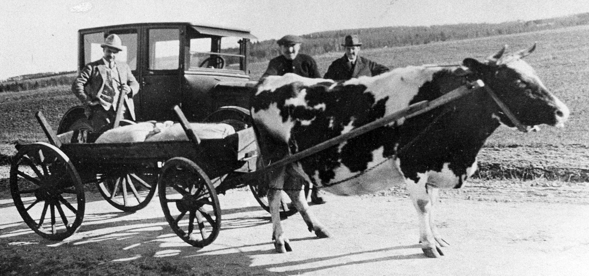 Snöstorps sn. Alebolet. 
Text till foto 1: Petter Persson, mannen i mitten är ägare till kon.
Text till foto 2: Min första bil (1925).