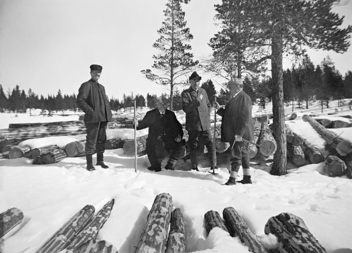 Fire menn ved tømmervelte i fjellskog.  Dette er antakelig skogdirektør Michael Saxlund og et par av hans medarbeidere på befaring i Femundsmarka, tidlig på 1900-tallet.  Den fjerde mannen (helt til venstre] likner mer på en lokal skogvokter.  Saxlunds to nærmeste ledsagere støtter seg på skistaver, og den ene av dem holder en skyveklave i handa.  