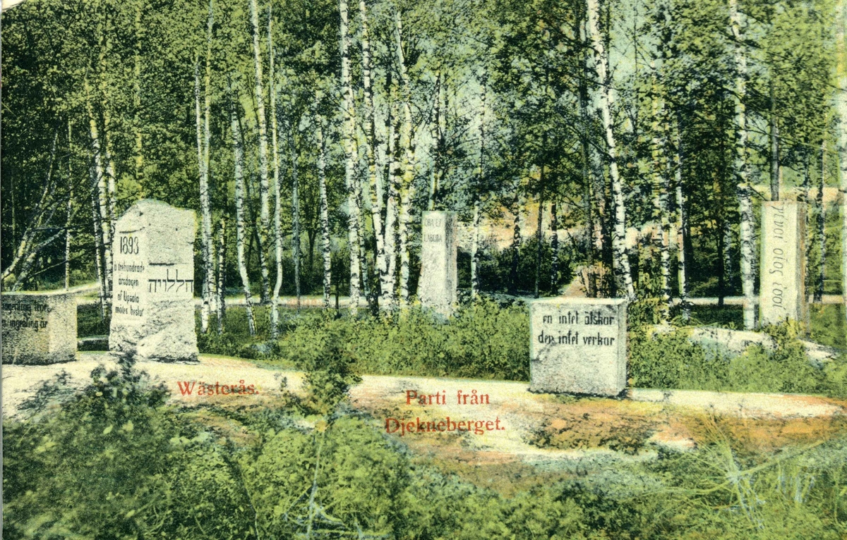 Några av de inristade stenarna på Djäkneberget.