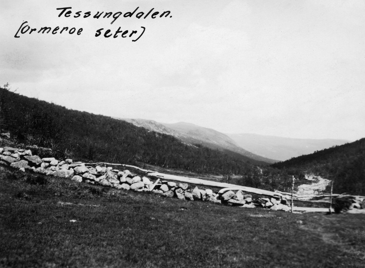 Fra Ormeroi sæter i Tessungdalen i Tinn kommune i Telemark.  Fotografiet er tatt fra en grasvoll (sætervoll) mot et steingjerde.  Bakenfor skimter vi et slakt dalføre med skogvegetasjon og et kvitskummende elveløp, Austbygdåe.  Dette vassdraget kommer fra Tessungsjå, et fjellvatn i cirka 1 400 meter over havet.  Ormerosætra lå om lag to kilometer ovenfor Kongsbergsætra.  Derfra var Austbygdåe fløtbar over en distanse på cirka 30 kilometer ned mot utløpet i Tinnsjø.  På denne strekningen var det sju roter, men det var ikke hvert år at det ble levert virke i de to-tre øverste rotene.  Det ble imidlertid bygd en dam ved vassdragets utløp fra Tessungsjå alt i 1884.  Den ble brukt til å regulere vannføringa for fløtinga videre nedover i vassdraget.