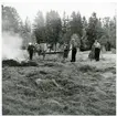 Badelunda sn, Västerås kn, Anundshög.
Röjningsarbete vid Anunudshög våren 1959.