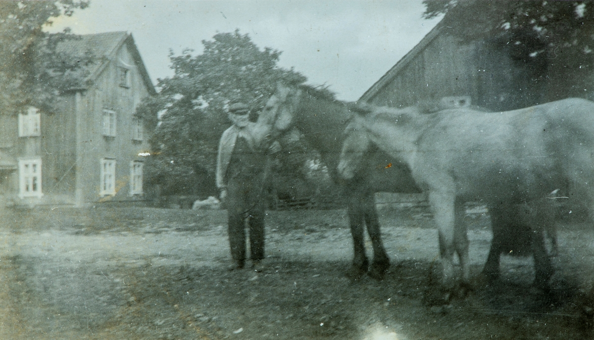 Fra Østre Elton, gårstunet. Mann med to hester.
