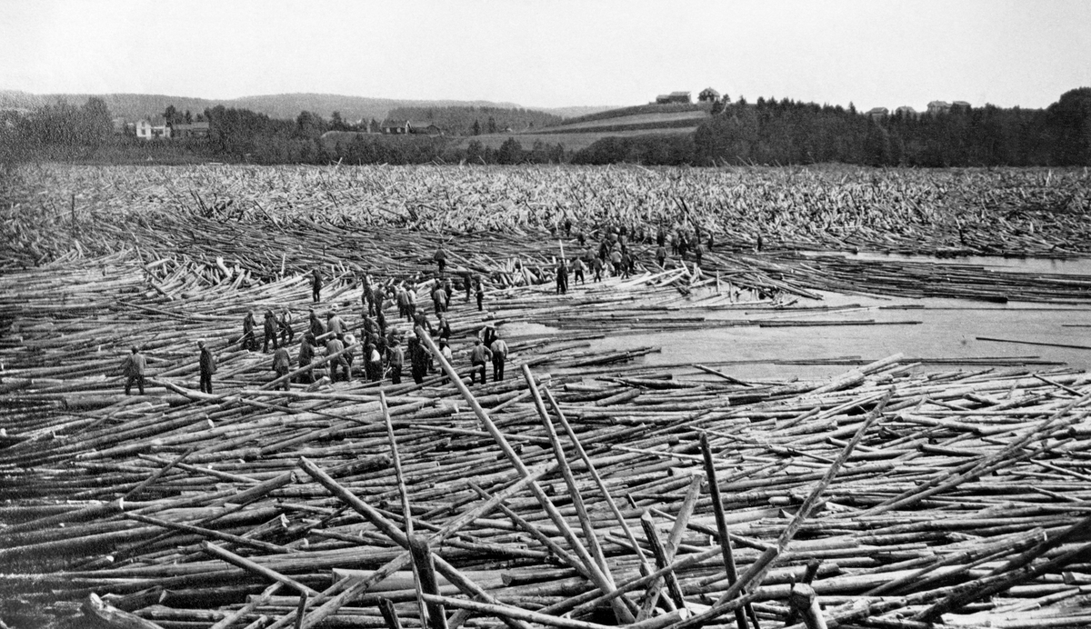 Tømmeropphopning ved attholdslensa ved Bingen i Sørum, Akershus, i 1917.  Fotografiet er tatt mot et bredt og stilleflytende elveleie, der det har hopet seg opp mye tømmer.  Ifølge fløtingsadministrasjonens kalkyler var det på det meste mellom 5 og 5,5 millioner tømmerstokker i lensa ved Bingen.  Presset på lensekonstruksjonen fra alt tømmeret og den stride vannstrømmen flommen førte med seg var stort, men lensa tålte påkjenningene.  Det store trykket i de tømmermassene førte imidlertid til at en god del av stokkene er presset opp i vertikale posisjoner.  Noe ble også presset over lensa, slik at det fløt videre nedover mot Fetsund og la seg mot bruanlegget der.  Da dette fotografiet ble tatt var tømmeret ovenfor attholdslensa ved Bingen stuvet sammen slik at vannflata ikke er synlig med unntak av et lite parti til høyre, om lag midt i bildet.  Omkring dette partiet er ei stor gruppe fløtere i ferd med å arbeide ut virke som har ligget fastkilt.  På motsatt side av elva skimtes et småkupert landskap med landbruksarealer, gardstun og små skogpartier. 

Situasjonen på dette fotografiet er preget av den spesielle situasjonen i Glommafløtinga i 1917.  Fra den delen av vassdraget som lå ovenfor Fetsund var det merket 14 152 835 stokker som skulle fløtes dette året.  I tillegg lå 549 893 stokker igjen fra fjoråret, som også hadde vært en vanskelig fløtingssesong.  Bortimot 15 millioner tømmerstokker skulle altså ekspederes via lenseanleggene ved Bingen og Fetsund.  Oppgaven ble ikke enklere ved at våren 1917 ble uvanlig sein, slik at det drøyde lenge før fløtinga kunne starte.  Arbeidet kom ikke skikkelig i gang før i slutten av mai.  En kraftig regnflom ved St. Hans-tider satte imidlertid bokstavelig talt fart i virksomheten.  Enorme tømmermengder hopet seg opp i lenseanlegget ved Bingen.  Her ble den vanlige mannskapsmengden altfor liten til å ekspedere tømmeret videre i retning sorteringsanlegget ved Fetsund før presset på Bingslensa ble i største laget.  Løsningen ble å doble bemanninga, og følgelig måtte det tas inn flere folk på Fetsund for å unngå opphopninger der også.  Fløtingssesongen 1917 ble likevel uvanlig lang.  Det siste tømmerslepet over Øyeren gikk i månedsskiftet november-desember. 

En kort historikk om Bingen lenser finnes under fanen «Opplysninger».