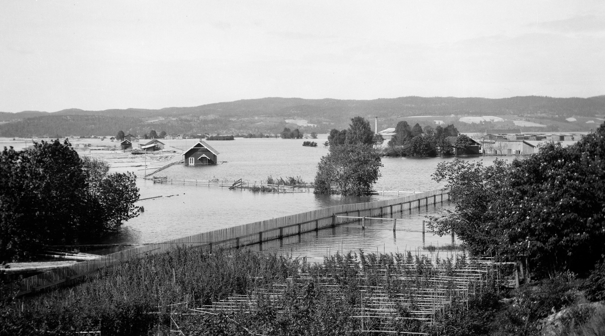 Utsikt fra Glomma Fellesfløtingsforenings eiendom Lund på Fetsund under flommen i 1910.  Fotografiet viser hvordan flomvannet har trengt inn i hagen, som var omgitt av et stakkittgjerde, og inn blant bærbuskene.  Lengre ute på den oversvømte elvesletta ses en verkstedbygning og en del mindre skur.  Til høyre i bildet ses et våningshus med tilhørende uthusbygning, og bakenfor denne et sagbruk med bordstabler som også står i vann.  Helt i bakgrunnen ses en skogkledd åsrygg.  SJF. 1989-02606 viser hvordan det samme landskapet så ut påfølgende vår, uten flomvannstand i Glommma og Øyeren.