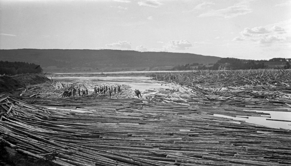 Fra atthaldslensa ved Bingen i Sørum, Akershus, i 1917.  Fotografiet er tatt mot en bred og stilleflytende del av Glomma der det har hopet seg opp en mengde fløtingstømmer.  Stokkene ligger meget tett, nærmest opptaksstedet parallelt med land, men lengre ute mer hulter til bulter.  Der har trykket av vann- og tømmermassene har sågar fått enkelte stokker til å reise seg i mer vertikale posisjoner.  Mellom strandsona og det tettpakkete tømmerpartiet lengre ute i vassdraget er det ei sone der det iallefall delvis er åpent vann.  Her arbeider ei stor gruppe fløtere med å løsne virket.  På motsatt side av elva skimtes en skogkledd ås med jordbrukseiendommer langs foten, ned mot vassdraget. 

Situasjonen på dette fotografiet er preget av den spesielle situasjonen i Glommafløtinga i 1917.  Fra den delen av vassdraget som lå ovenfor Fetsund var det merket 14 152 835 stokker som skulle fløtes dette året.  I tillegg lå 549 893 stokker igjen fra fjoråret, som også hadde vært en vanskelig fløtingssesong.  Bortimot 15 millioner tømmerstokker skulle altså ekspederes via lenseanleggene ved Bingen og Fetsund.  Oppgaven ble ikke enklere ved at våren 1917 ble uvanlig sein, slik at det drøyde lenge før fløtinga kom skikkelig i gang.  Arbeidet kom ikke skikkelig i gang før i slutten av mai.  En kraftig regnflom ved St. Hans-tider satte imidlertid bokstavelig talt fart i virksomheten.  Enorme tømmermengder hopet seg opp i lenseanlegget ved Bingen.  Her ble den vanlige mannskapsmengden altfor liten til å ekspedere tømmeret videre i retning sorteringsanlegget ved Fetsund før presset på Bingslensa ble i største laget.  Løsningen ble å doble bemanninga, og følgelig måtte det tas inn flere folk på Fetsund for å unngå opphopninger der også.  Fløtingssesongen 1917 ble likevel uvanlig lang.  Det siste tømmerslepet over Øyeren gikk i månedsskiftet november-desember.