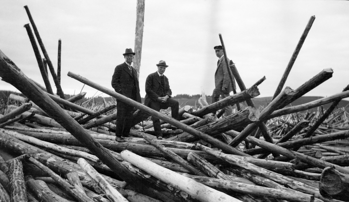 Tømmeropphoping ved atthaldslensa ved Bingen i Sørum, Akershus, i 1917.  Fotografiet viser tre velkledde herrer, som poserer på de sammenfiltrete tømmerstokkene.  To av karene har mørke dresser og hatt, den tredje har lys dress og skyggelue.  Antrekkene kan tyde på at dette er representanter for fløtingsadministrasjonen eller tømmerkjøperne.  En tidligere registrator har ment at mannen lengst til venstre skal være konsul Emil Mørch, som representerte Fredrikstaddistriktet i styret for Fellesfløtingsforeningen.  Mannen lengst til høyre skal være godseier Westye Parr Egeberg, som representerte Kristiania-distriktet og var styreleder i organisasjonen. Tømmermengdene rundt dem består av barket virke som - på grunn av trykket av vann og bakenforliggende tømmer - er presset sammen hulter til bulter, slik at enkelte stokker også har "reist seg" i vertikale posisjoner. 

Situasjonen på dette fotografiet er preget av den spesielle situasjonen i Glommafløtinga i 1917.  Fra den delen av vassdraget som lå ovenfor Fetsund var det merket 14 152 835 stokker som skulle fløtes dette året.  I tillegg lå 549 893 stokker igjen fra fjoråret, som også hadde vært en vanskelig fløtingssesong.  Bortimot 15 millioner tømmerstokker skulle altså ekspederes via lenseanleggene ved Bingen og Fetsund.  Oppgaven ble ikke enklere ved at våren 1917 ble uvanlig sein, slik at det drøyde lenge før fløtinga kunne starte.  Arbeidet kom ikke skikkelig i gang før i slutten av mai.  En kraftig regnflom ved St. Hans-tider satte imidlertid bokstavelig talt fart i virksomheten.  Enorme tømmermengder hopet seg opp i lenseanlegget ved Bingen.  Her ble den vanlige mannskapsmengden altfor liten til å ekspedere tømmeret videre i retning sorteringsanlegget ved Fetsund før presset på Bingslensa ble i største laget.  Løsningen ble å doble bemanninga, og følgelig måtte det tas inn flere folk på Fetsund for å unngå opphopninger der også.  Fløtingssesongen 1917 ble likevel uvanlig lang.  Det siste tømmerslepet over Øyeren gikk i månedsskiftet november-desember. 

En kort historikk om Bingen lenser finnes under fanen «Opplysninger».