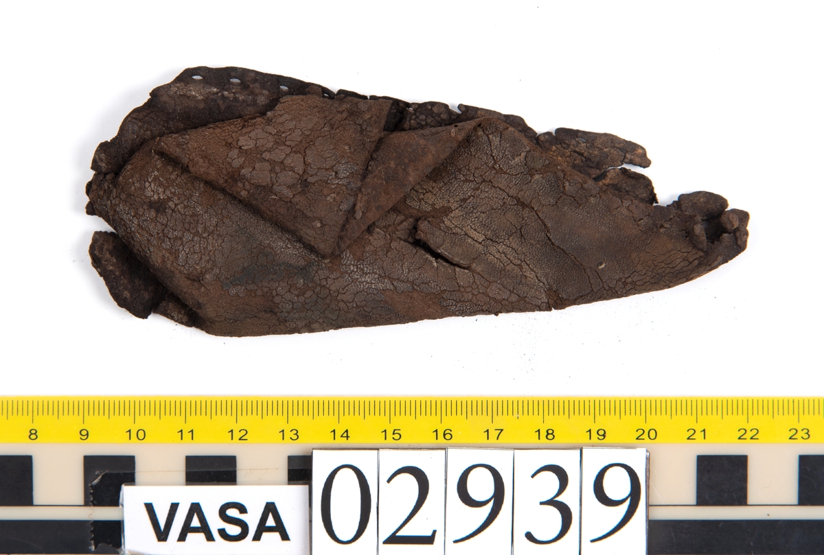 Tjugofem delar och fragment av sko. Skon är troligtvis ej samtidia med förlisningen av Vasa.
Bland delarna och fragmenten går att urskilja ett fragmentariskt ovanläder, en del av en holtrand, en sula samt en klack. Sulan har ett mycket spetsigt tåparti. Längs med sulans ytterkanter löper stygnshål.
Klacken är fragmentarisk och har kvarsittande skopligg. Tre löst liggande träpligg.
Lädret är mycket sprött samt ligger hopvikt.
Fyndet innehåller även filt samt trä.