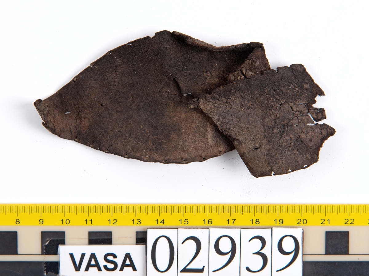 Tjugofem delar och fragment av sko. Skon är troligtvis ej samtidia med förlisningen av Vasa.
Bland delarna och fragmenten går att urskilja ett fragmentariskt ovanläder, en del av en holtrand, en sula samt en klack. Sulan har ett mycket spetsigt tåparti. Längs med sulans ytterkanter löper stygnshål.
Klacken är fragmentarisk och har kvarsittande skopligg. Tre löst liggande träpligg.
Lädret är mycket sprött samt ligger hopvikt.
Fyndet innehåller även filt samt trä.
