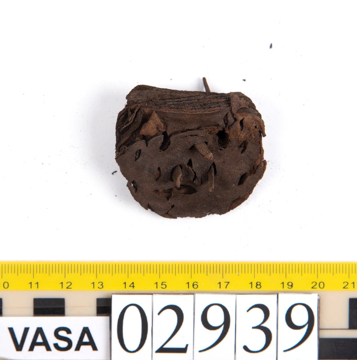 Tjugofem delar och fragment av sko. Skon är troligtvis ej samtidia med förlisningen av Vasa.
Bland delarna och fragmenten går att urskilja ett fragmentariskt ovanläder, en del av en holtrand, en sula samt en klack. Sulan har ett mycket spetsigt tåparti. Längs med sulans ytterkanter löper stygnshål.
Klacken är fragmentarisk och har kvarsittande skopligg. Tre löst liggande träpligg.
Lädret är mycket sprött samt ligger hopvikt.
Fyndet innehåller även filt samt trä.