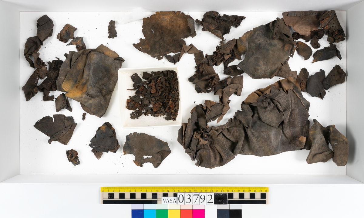 Ett 70-tal delar och fragment av stövel. Bland delarna går att urskilja en del av en klack med kvarsittande skopligg, fyra delar av ovanläder samt en stropp med avmalnande ändar. Flertalet fragment har rostfärgade utfällningar.
Lädret är tunt och sprött samt ligger hopvikt.