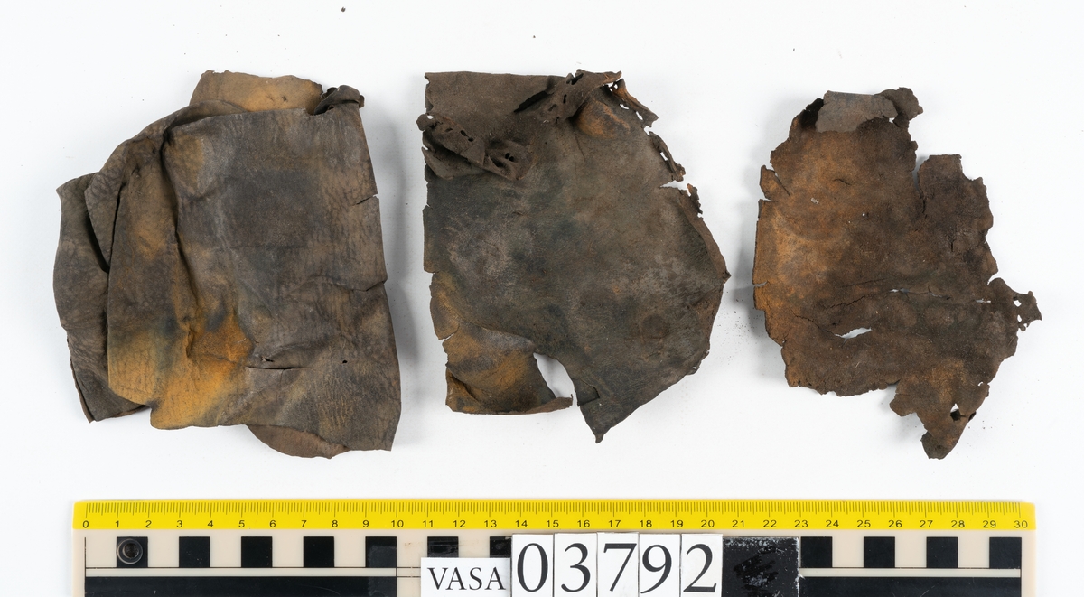 Ett 70-tal delar och fragment av stövel. Bland delarna går att urskilja en del av en klack med kvarsittande skopligg, fyra delar av ovanläder samt en stropp med avmalnande ändar. Flertalet fragment har rostfärgade utfällningar.
Lädret är tunt och sprött samt ligger hopvikt.