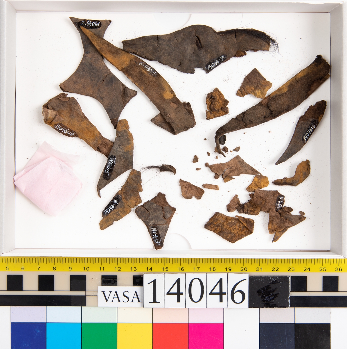 Tjugo ospecificerade läderbitar samt ett flertal mycket små fragment. På två av fragmenten, fyndnummer 14046:1 samt 14046:7, finns svarta hårstrån, ca 5-20 mm långa. Lädret saknar hål efter stygn eller träpligg.