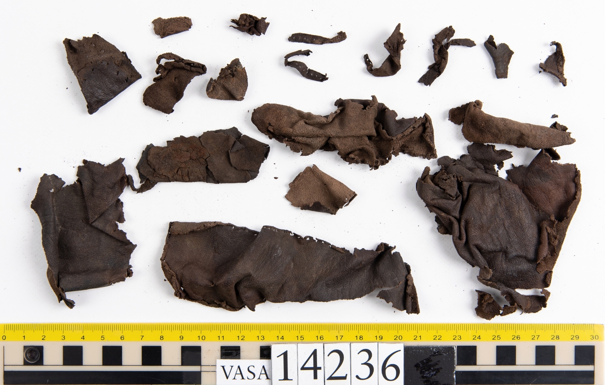 Ett 50-tal läderfragment av kraghandske eller kragvante. På lädret syns hål efter stygn.