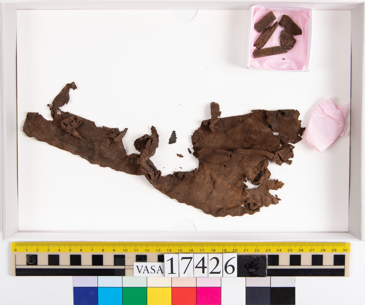 Ett stort, fragmentariskt läderstycke, två mindre läderfragment samt fem små träbitar.
I mitten av läderstycket har en trekantigt formad bit av lädret skurits ut. Längs med ytterkanterna och den trekantiga utskärningen löper stygnshål. Lädret är spaltat och endast köttsidan kvarstår.
Träbitarna är fuktiga och mäter mellan 15 och 30 mm i längd och ca 10 mm i bredd.