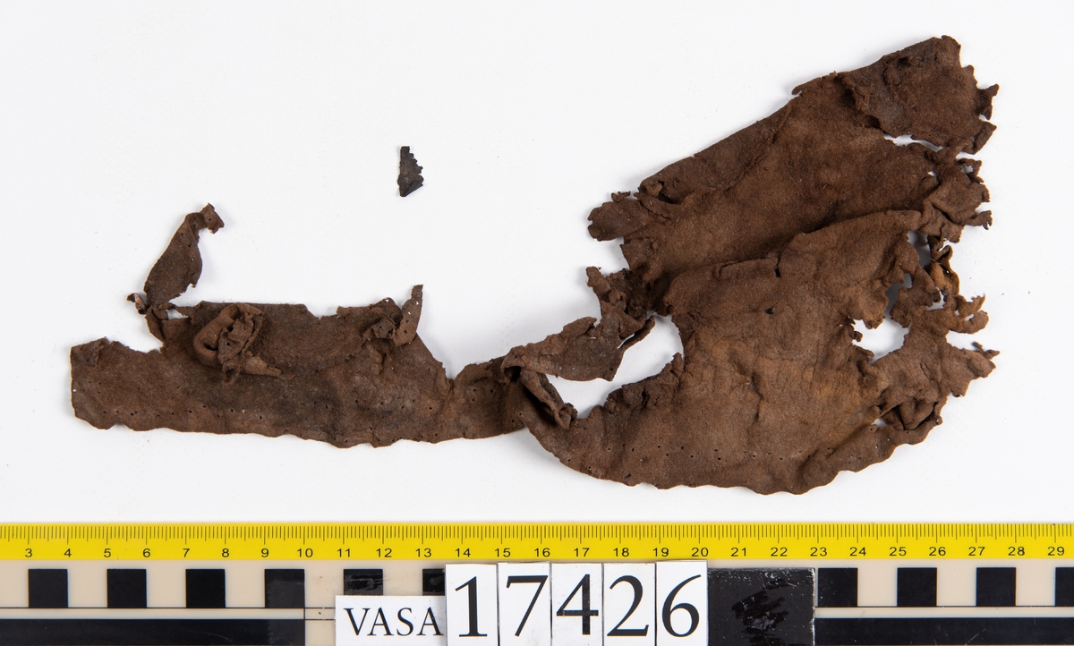 Ett stort, fragmentariskt läderstycke, två mindre läderfragment samt fem små träbitar.
I mitten av läderstycket har en trekantigt formad bit av lädret skurits ut. Längs med ytterkanterna och den trekantiga utskärningen löper stygnshål. Lädret är spaltat och endast köttsidan kvarstår.
Träbitarna är fuktiga och mäter mellan 15 och 30 mm i längd och ca 10 mm i bredd.