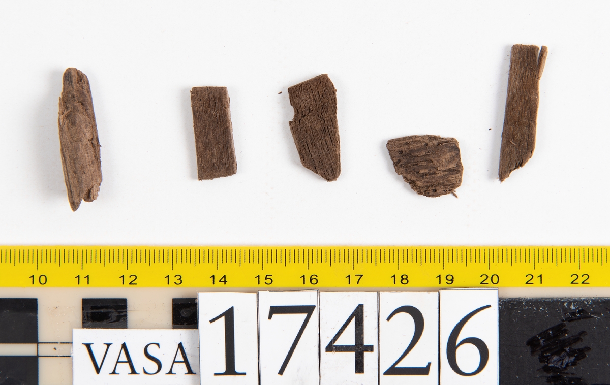 Ett stort, fragmentariskt läderstycke, två mindre läderfragment samt fem små träbitar.
I mitten av läderstycket har en trekantigt formad bit av lädret skurits ut. Längs med ytterkanterna och den trekantiga utskärningen löper stygnshål. Lädret är spaltat och endast köttsidan kvarstår.
Träbitarna är fuktiga och mäter mellan 15 och 30 mm i längd och ca 10 mm i bredd.